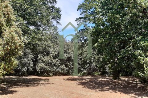 Helårsgrund i Ostuni, Brindisi, Ostuni - € 410.000 | Ref: Terreno Rella14 - foto 9